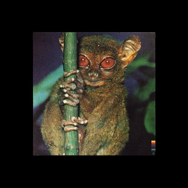 Bruised Skies & Thugwidow — Requiem For A Sesh